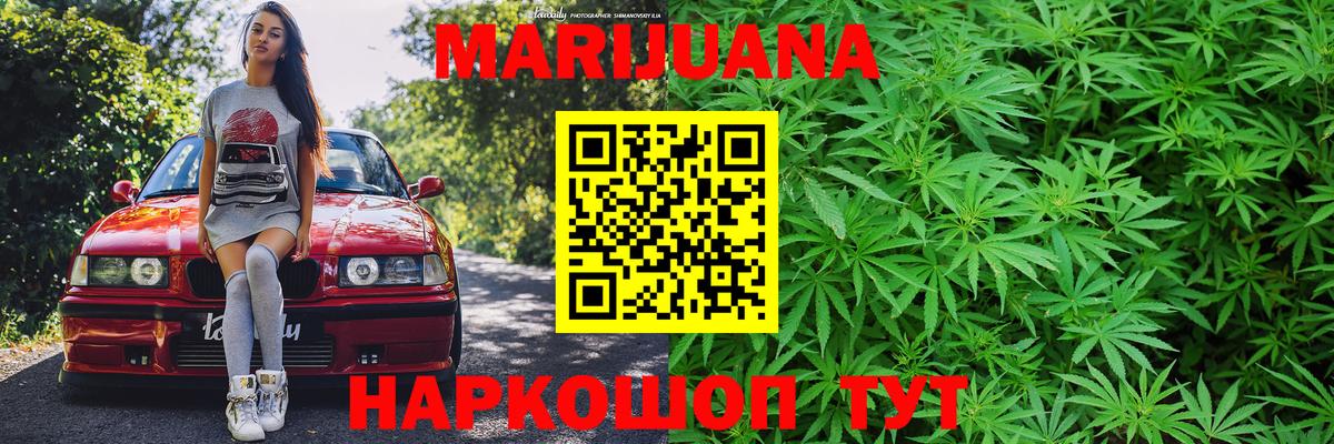 Дубна  Марихуана план  Каннабис сатива  МАРИХУАНА планчик  Бошки Шишки планчик  Вход с VPN 